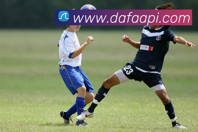 大发娱乐服务体系